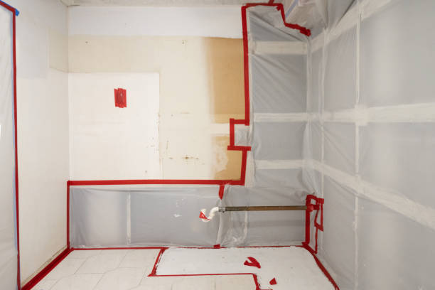 Best Mold-Related Health Consultation  in Riverton, WY