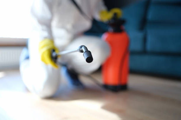 Best Residential Mold Inspection & Testing  in Riverton, WY