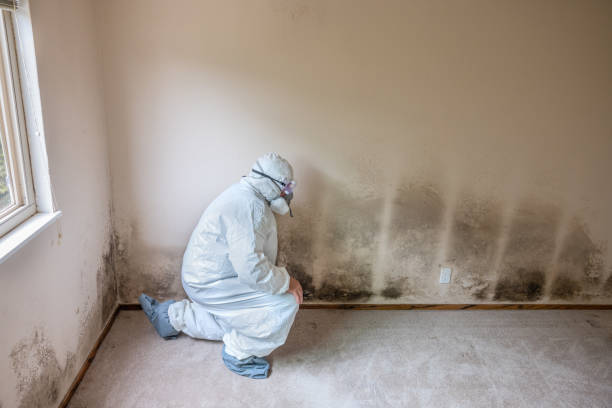 Best Forensic Mold Investigation  in Riverton, WY