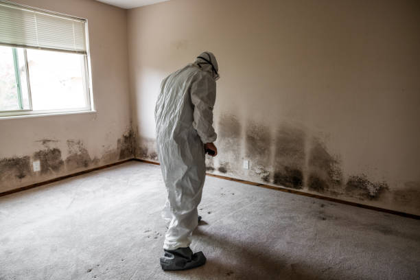 Best HVAC Mold Inspection and Cleaning  in Riverton, WY